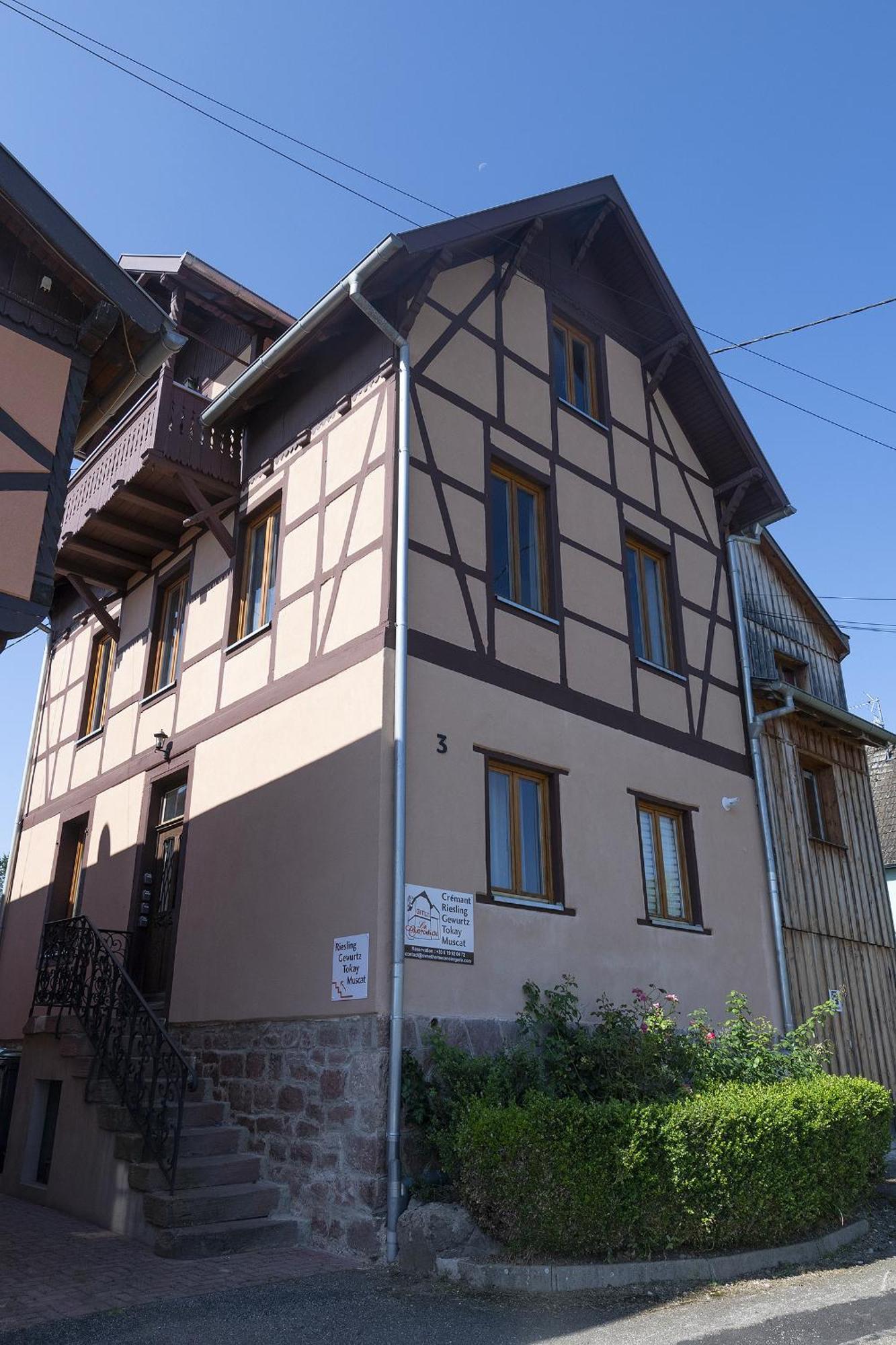 Riesling - Vue Imprenable Sur Le Vignoble - Renove Recemment - Parking Gratuit Apartment Olenevka Ngoại thất bức ảnh