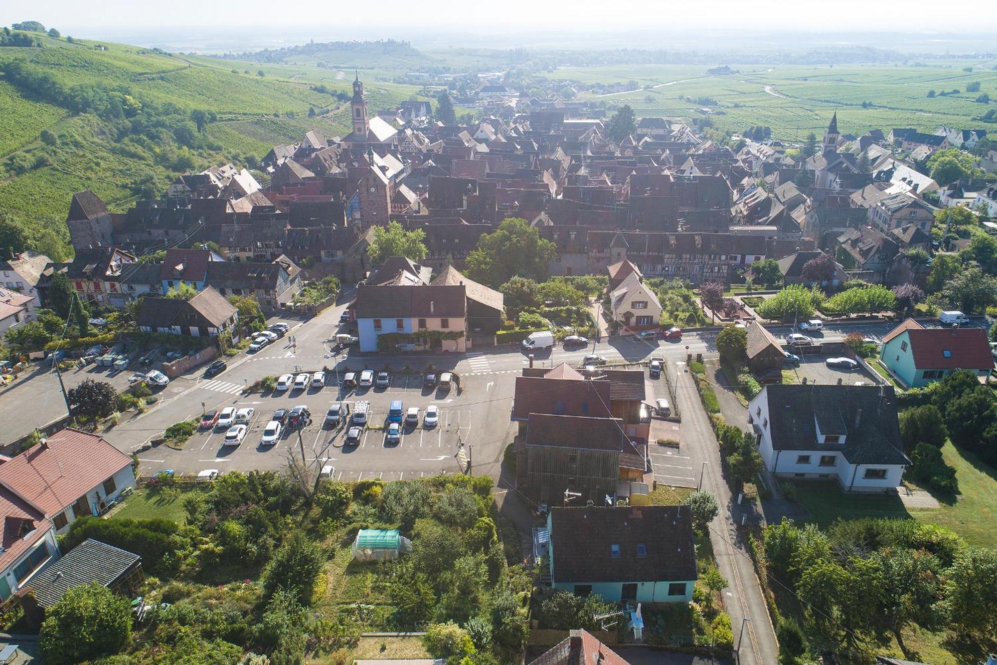 Riesling - Vue Imprenable Sur Le Vignoble - Renove Recemment - Parking Gratuit Apartment Olenevka Ngoại thất bức ảnh
