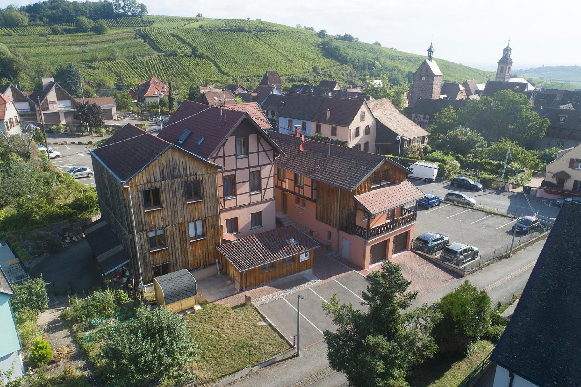 Riesling - Vue Imprenable Sur Le Vignoble - Renove Recemment - Parking Gratuit Apartment Olenevka Ngoại thất bức ảnh